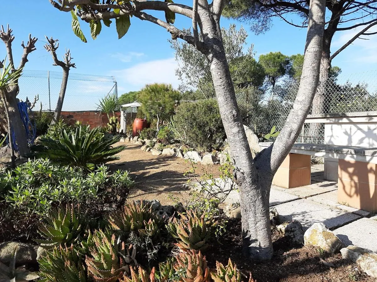 Habitaciones En Villa Coliving Casa Rural San Fausto de Campcentellas Guest house